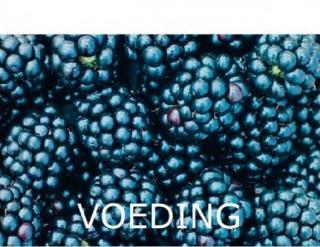 tegelVOEDING_.jpg