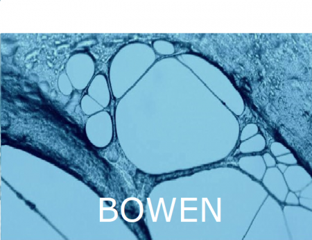 tegelBOWEN_.png