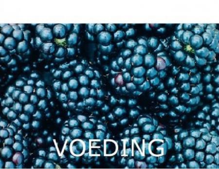 tegelVOEDING_.jpg